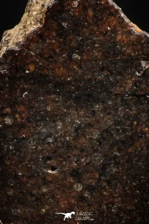 05109 - Beautiful Polished Section NWA Unclassified L-H Type Ordinary Chondrite Meteorite 23.0g