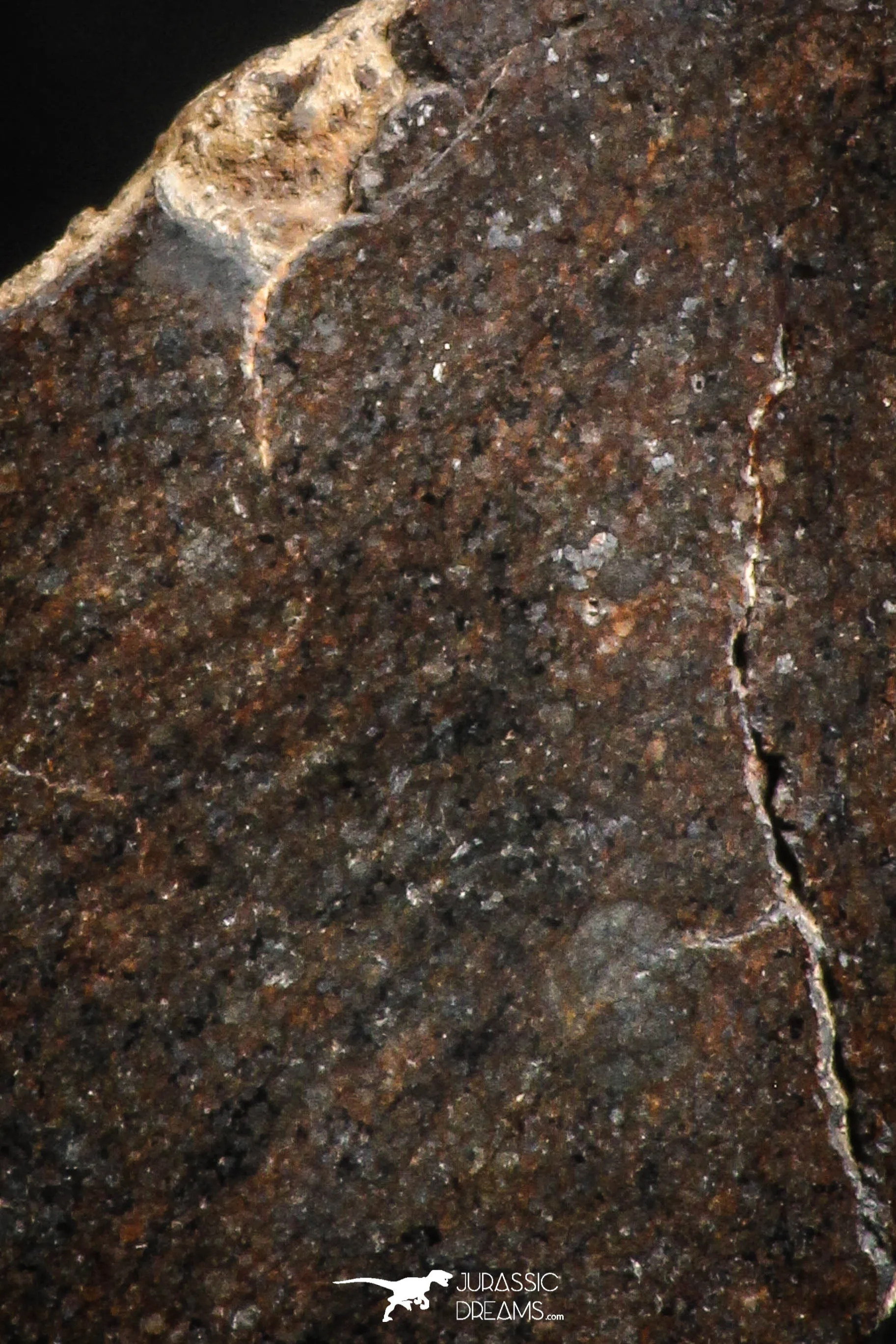 05111 - Beautiful Polished Section NWA Unclassified L-H Type Ordinary Chondrite Meteorite 27.0g
