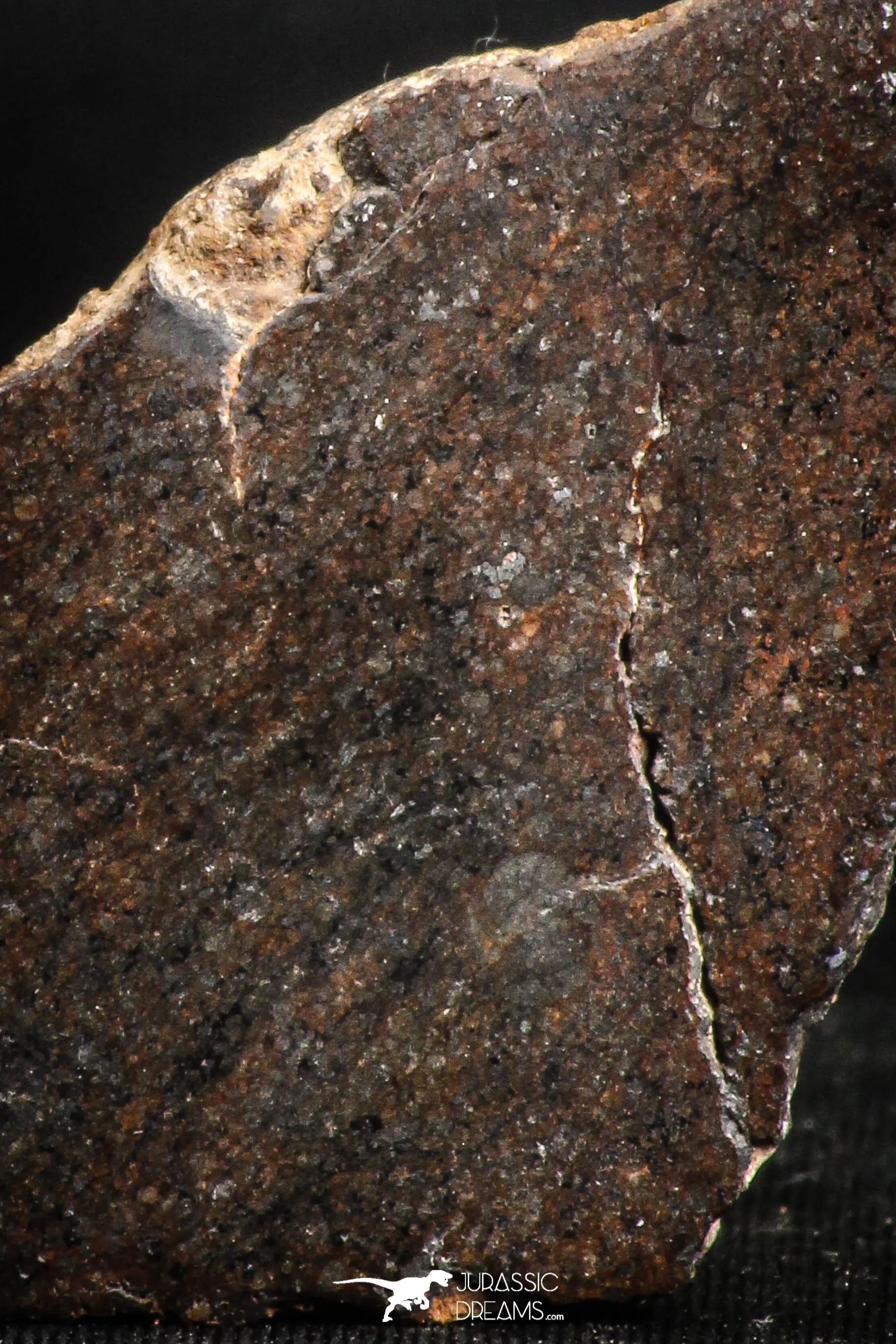 05111 - Beautiful Polished Section NWA Unclassified L-H Type Ordinary Chondrite Meteorite 27.0g