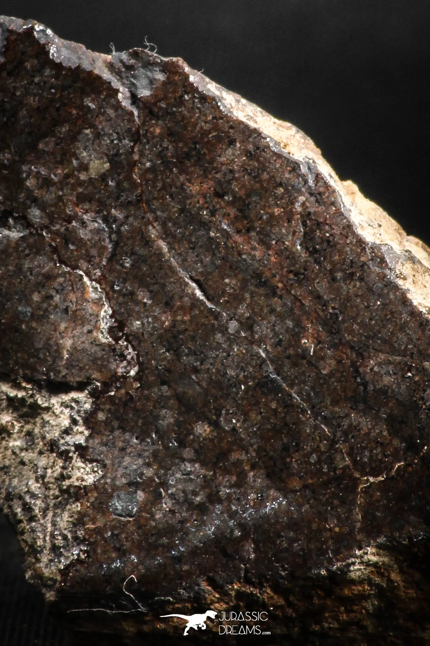 05111 - Beautiful Polished Section NWA Unclassified L-H Type Ordinary Chondrite Meteorite 27.0g