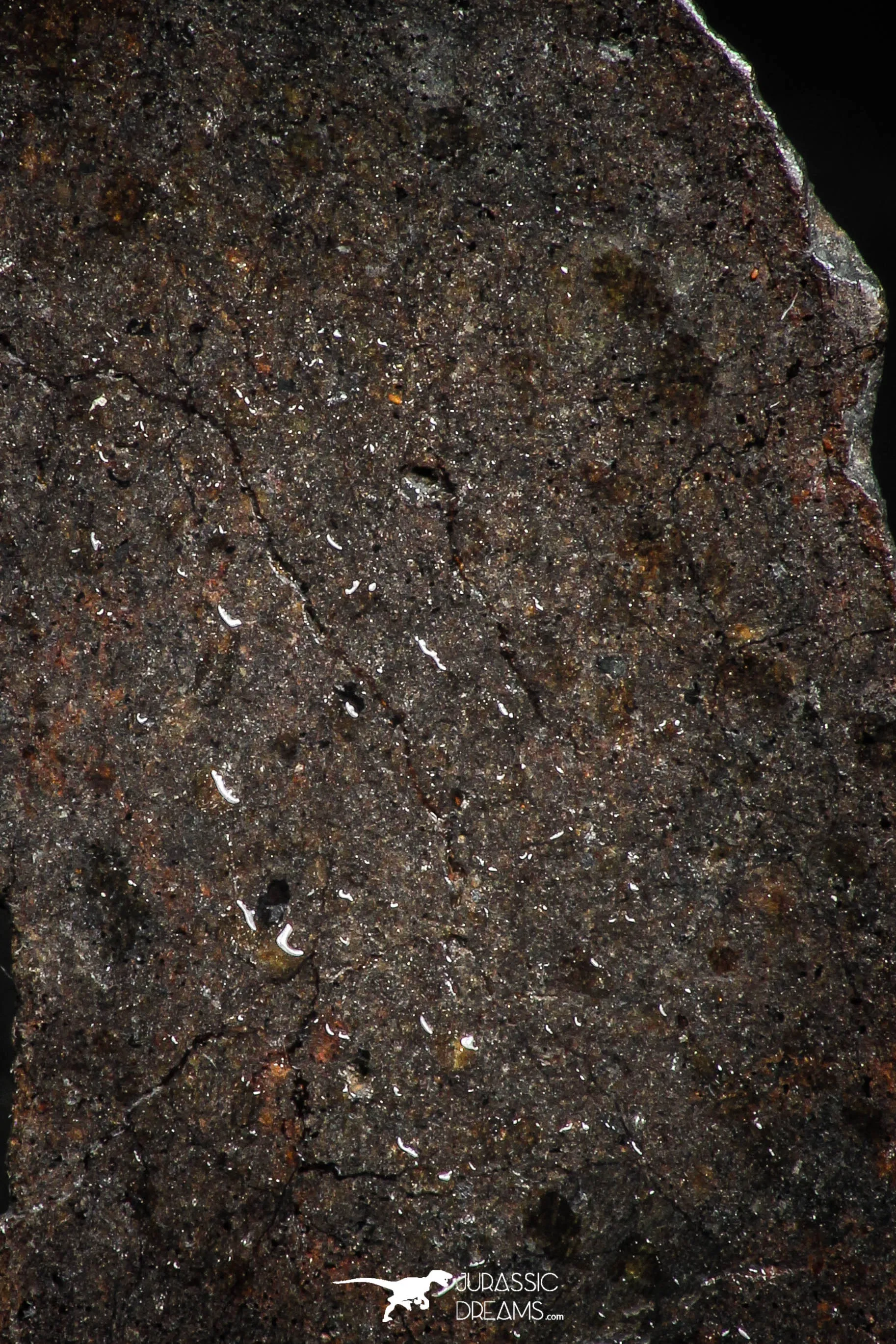 06003 - Nice Polished Section NWA Unclassified L-H Type Ordinary Chondrite Meteorite 15.0g