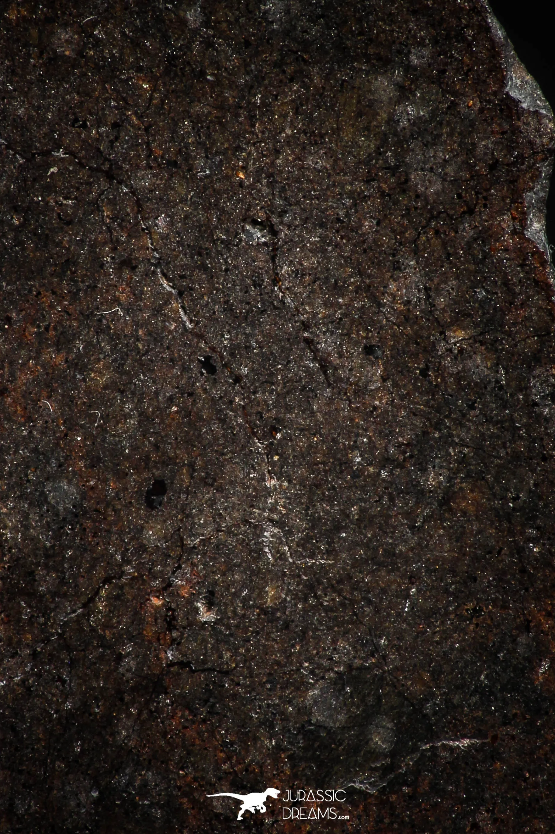 06003 - Nice Polished Section NWA Unclassified L-H Type Ordinary Chondrite Meteorite 15.0g