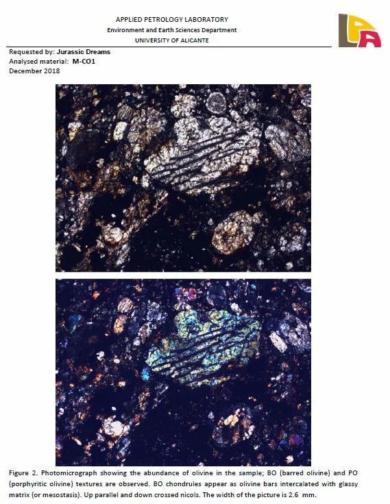 06003 - Nice Polished Section NWA Unclassified L-H Type Ordinary Chondrite Meteorite 15.0g