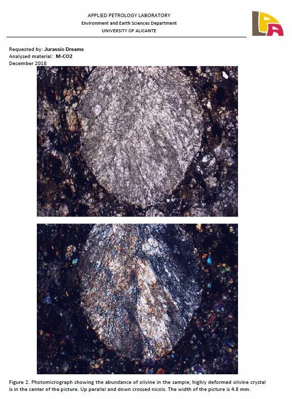 06003 - Nice Polished Section NWA Unclassified L-H Type Ordinary Chondrite Meteorite 15.0g