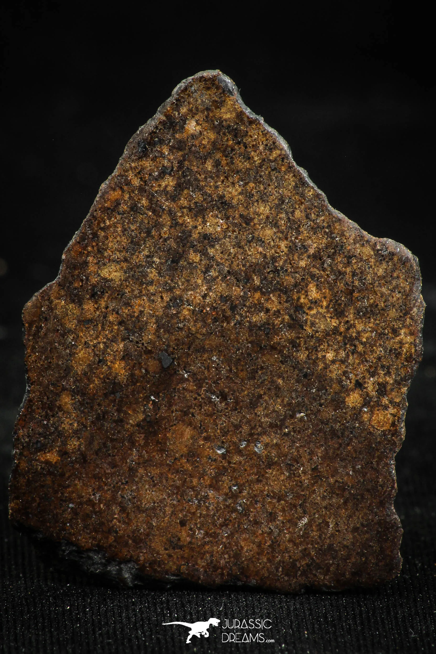 06005 - Beautiful Polished Section NWA Unclassified L-H Type Ordinary Chondrite Meteorite 13.0g