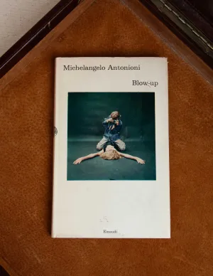 1967 Blow-Up book by Michelangelo Antonioni