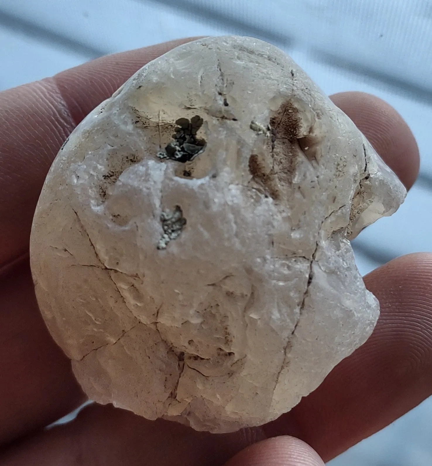 48.2 g UNIQUE MONTANA TEKTITE