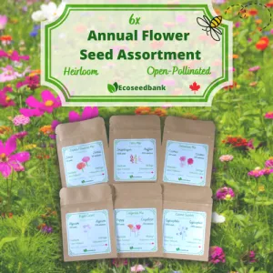 6x Annual Flower Seed Assortment