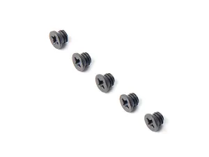 AIP Metal Screws for Fiber sight and Cocking Handle