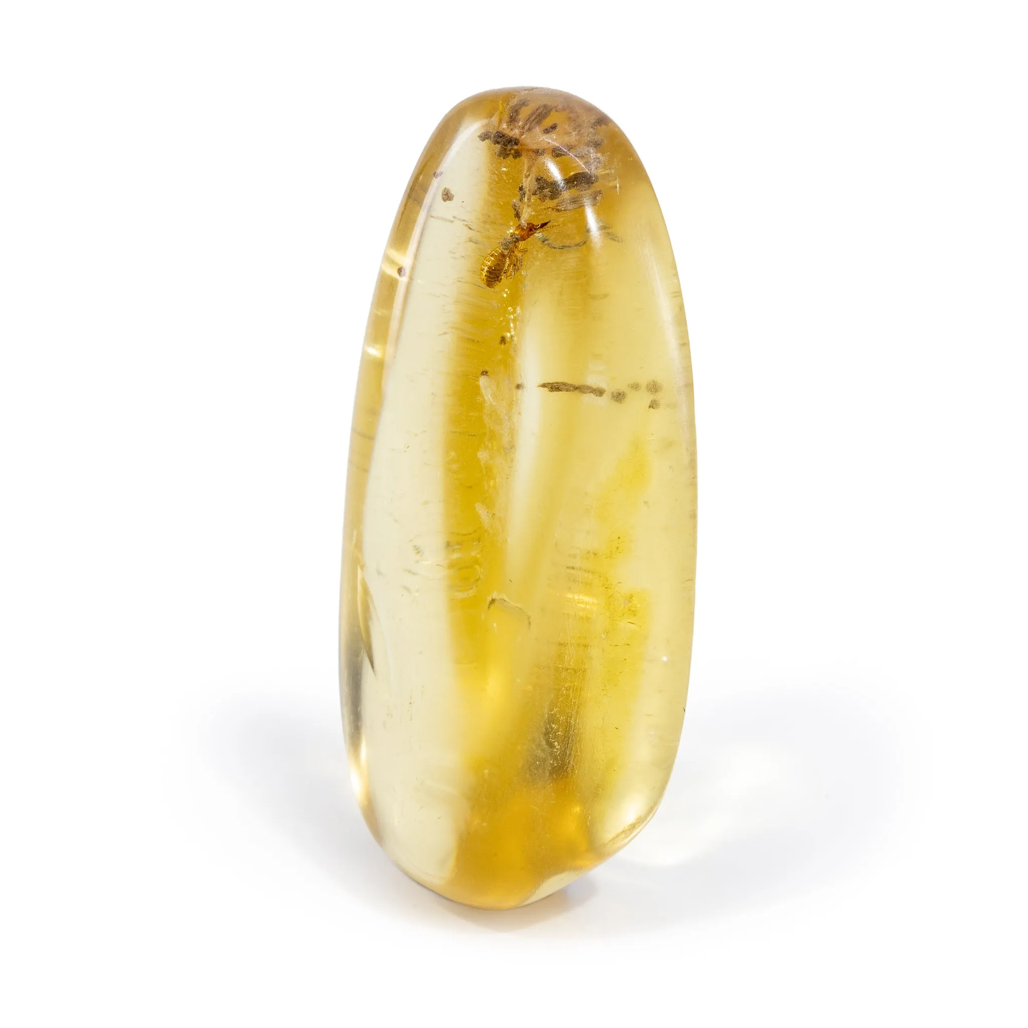 Amber with Termite Inclusion 1.93 Inch 53.3 Carat Polished Freeform Specimen