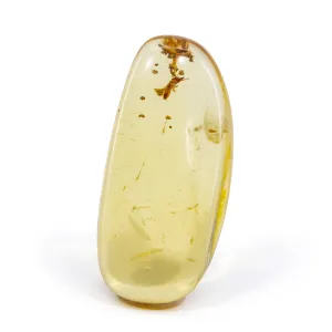 Amber with Termite Inclusion 1.93 Inch 53.3 Carat Polished Freeform Specimen