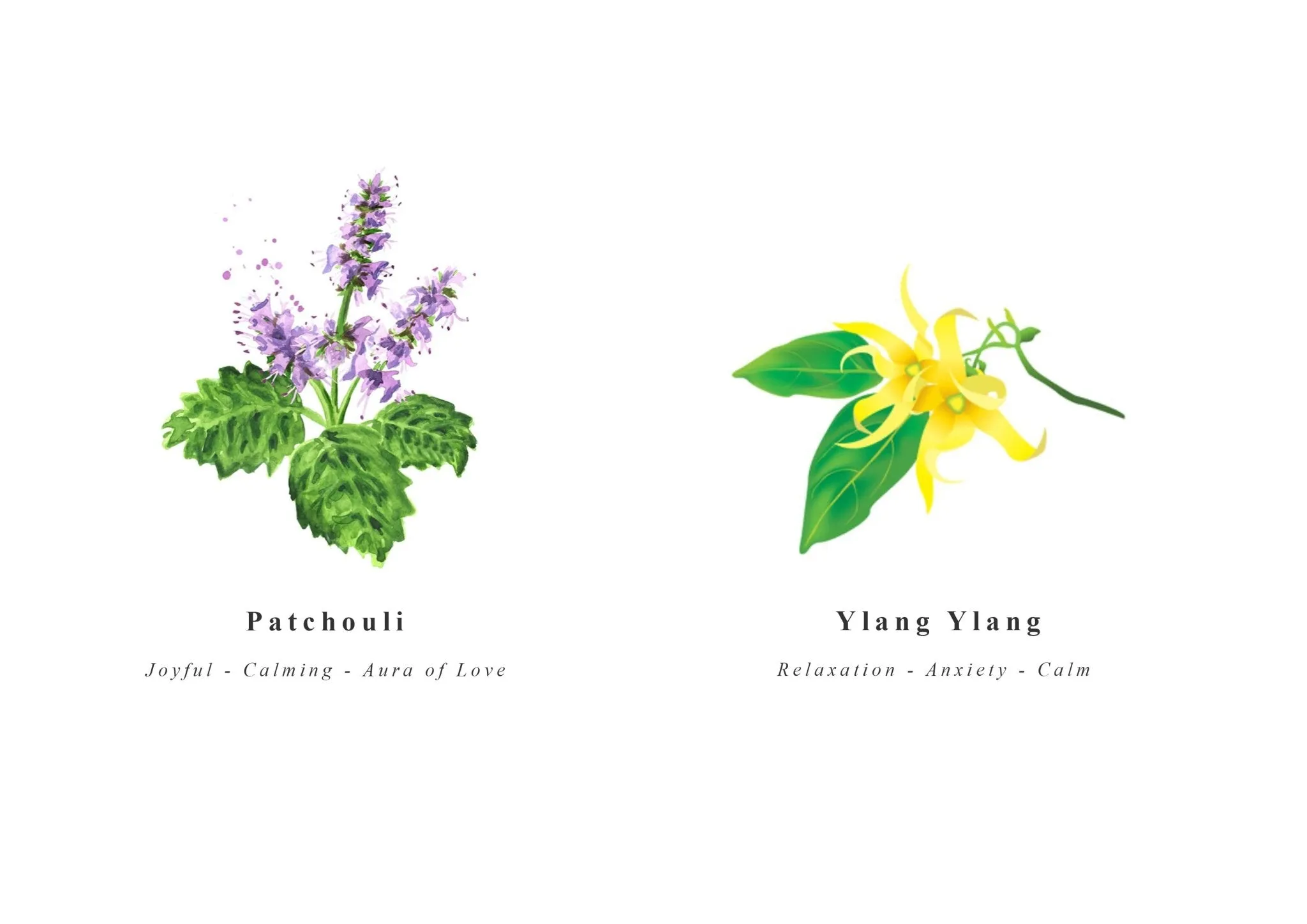 Aromatherapy Pulse Point Oil - LOVE
