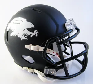 Austintown-Fitch (2019)