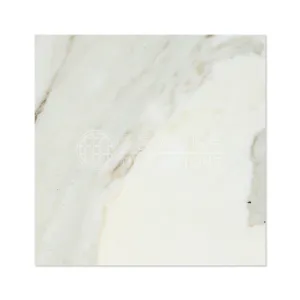 Calacatta Gold (Italian Calcutta) Marble 18 X 18 Field Tile (Lot of 100 pcs. (225 sq. ft.), Polished)