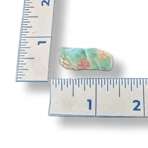 Chrysoprase Polished 4g Approximate