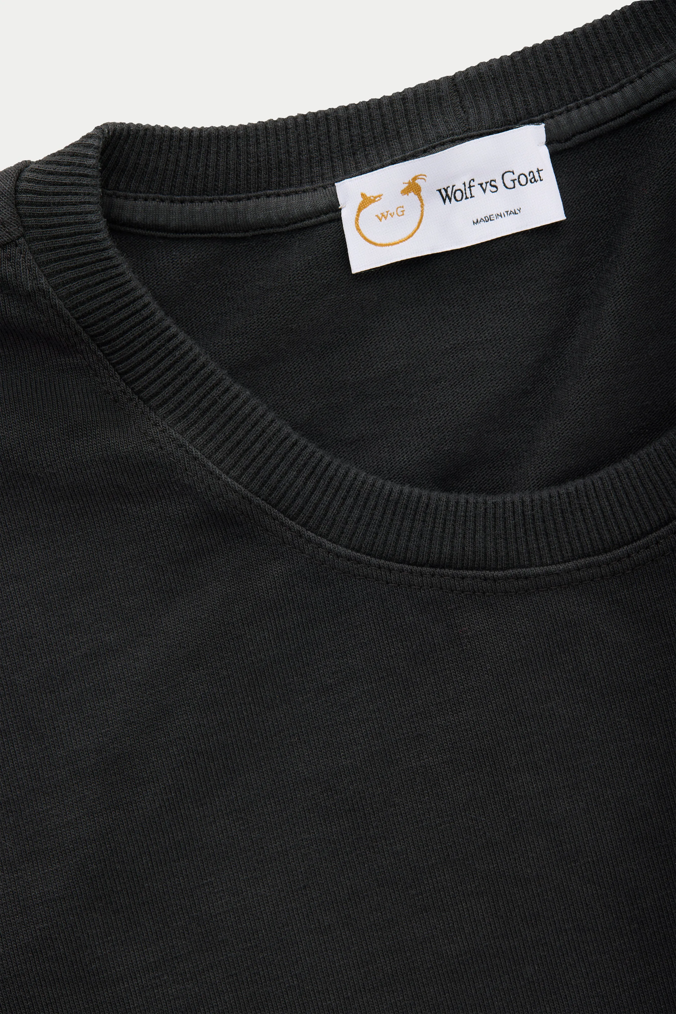 Cotton Long Sleeve Crewneck T-Shirt Fulvia 4 Color Option