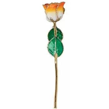Cream Orange Lacquered Rose with Gold Trim