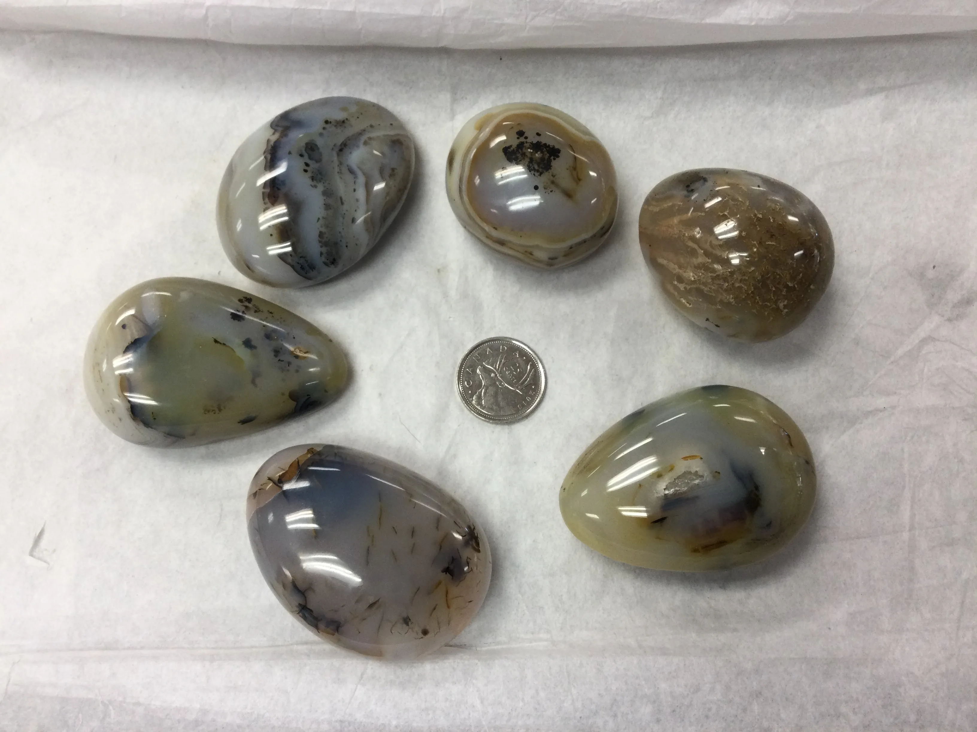 Dendritic Agate Palm Stone