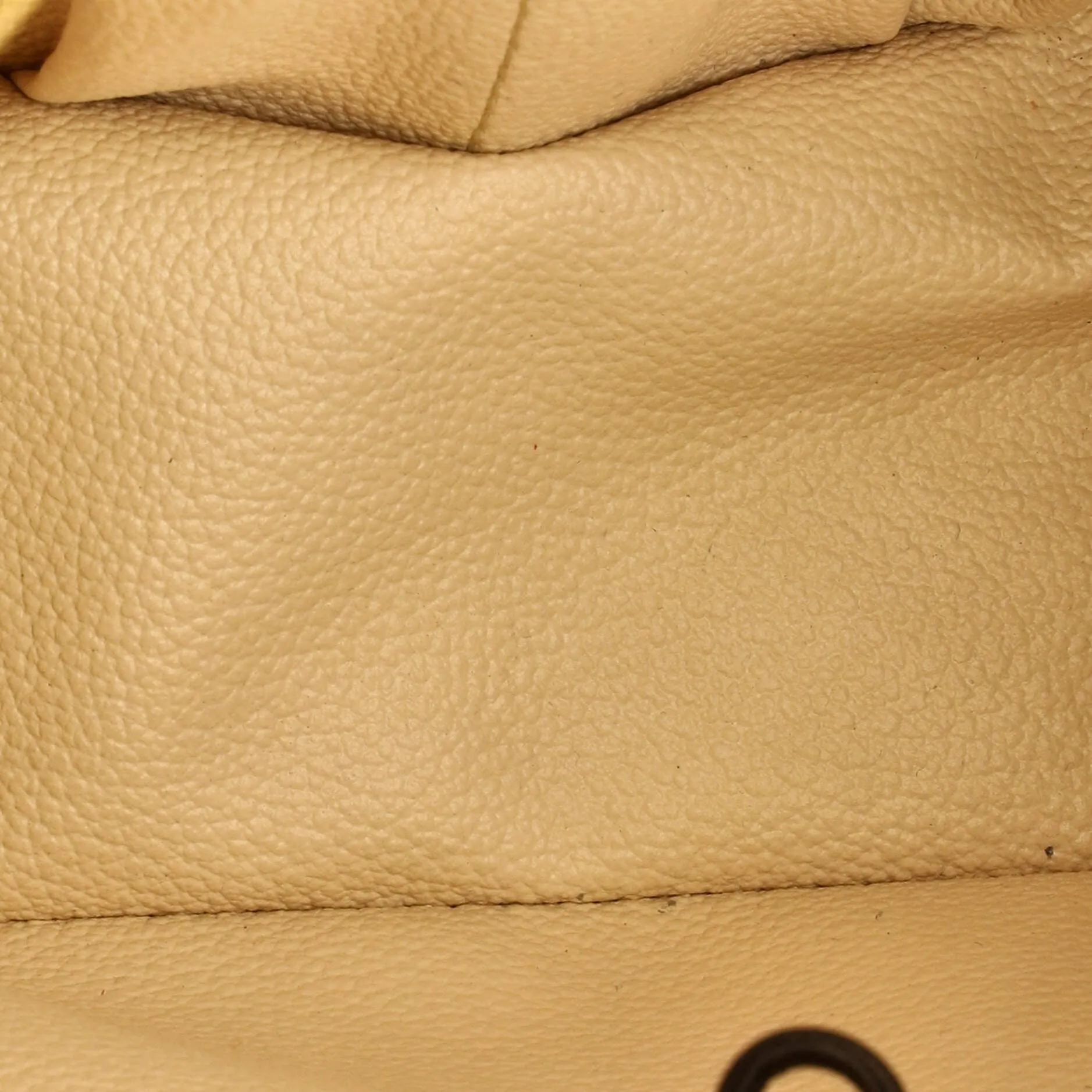 Designer Spontini Handbag Monogram Canvas