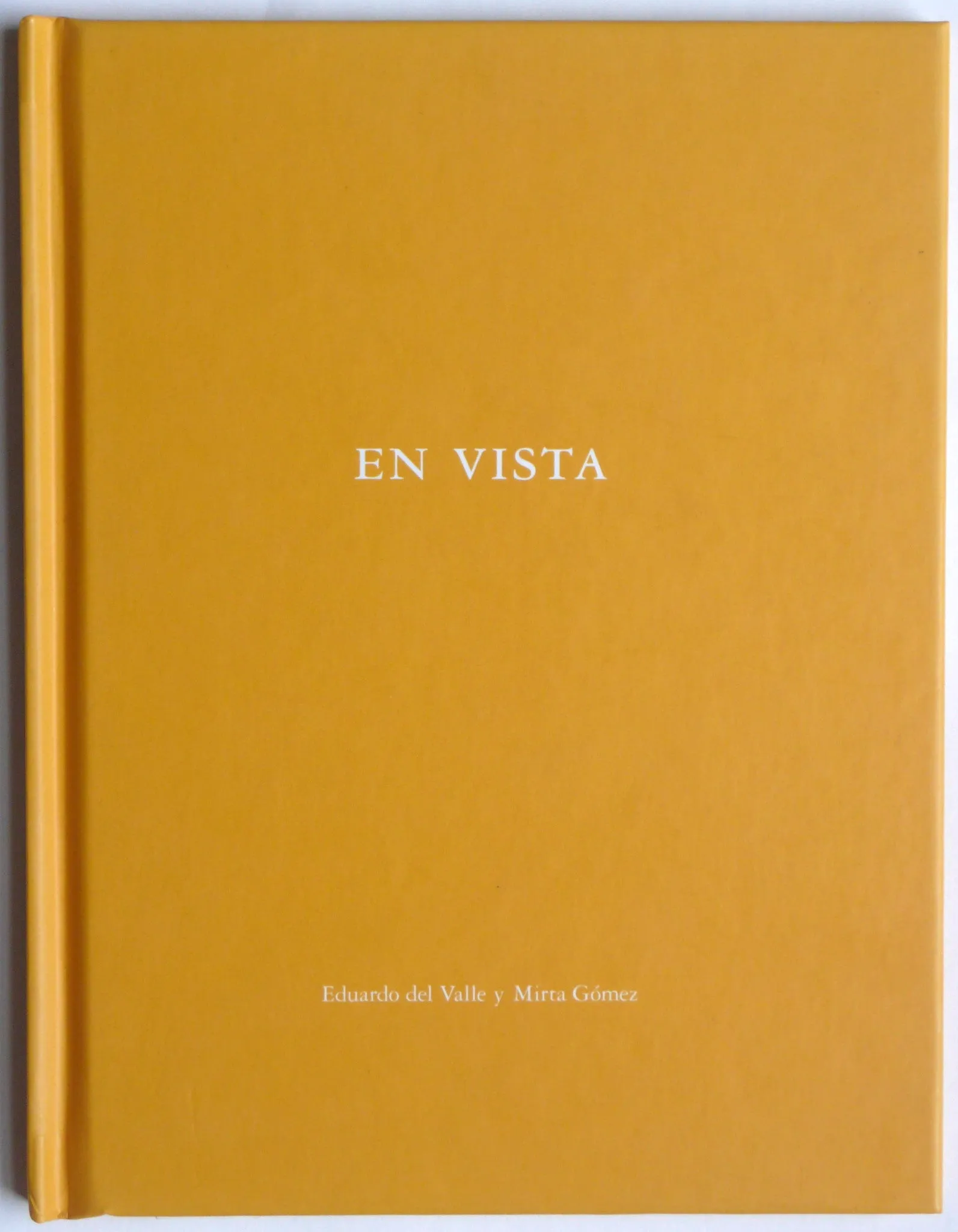 En Vista by Eduardo del Valle & Mirta Gomez