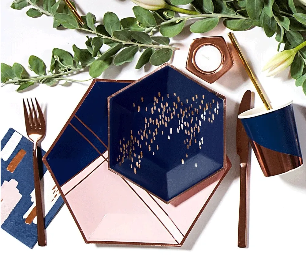 Erika : Pale Pink   Navy Colorblock Dinner Plates
