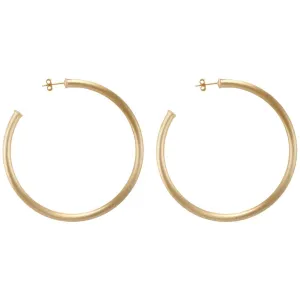 Everybody's Favorite Hoop