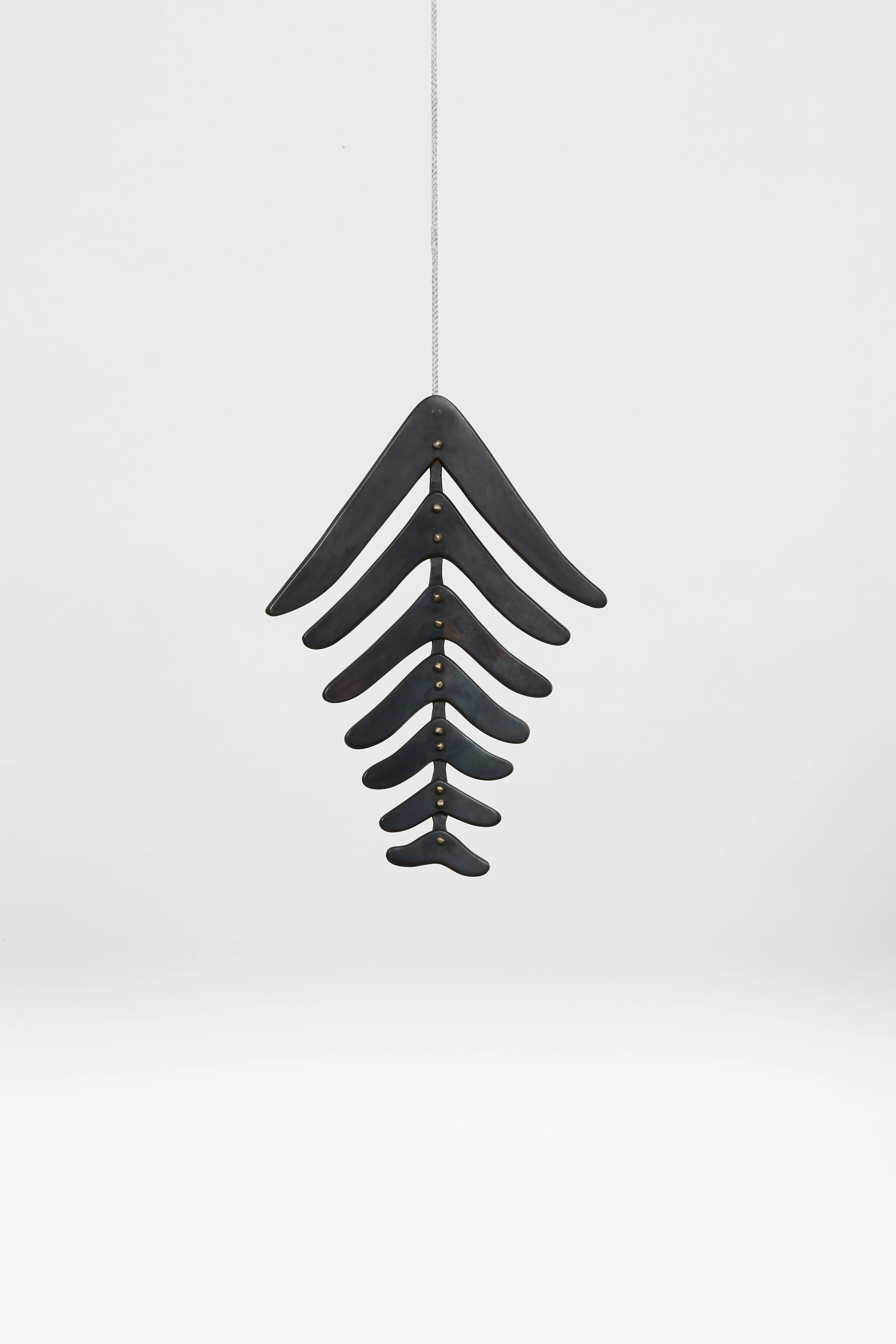 Fern, 2019
