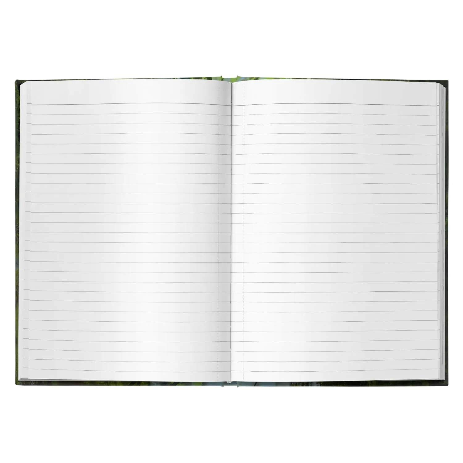 Feywild Lagoon Hardcover Journal