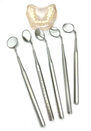Flex Mirror Set