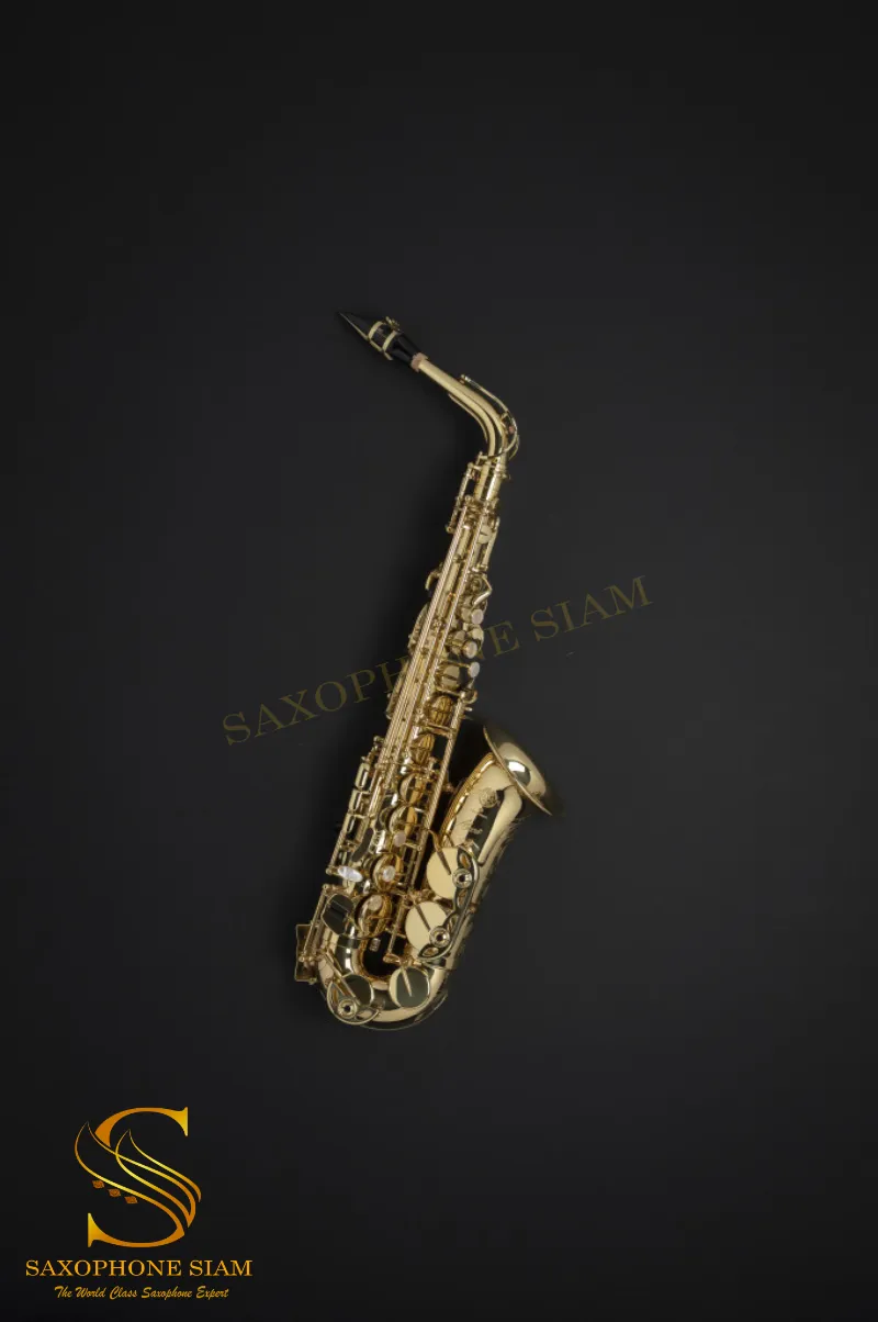 HENRI SELMER PARIS AXOS ALTO SAXOPHONE LACQUERED