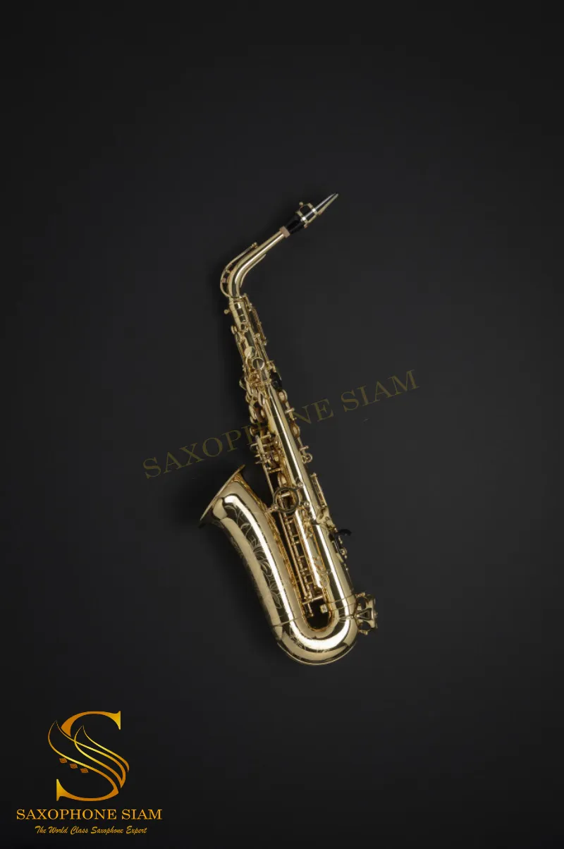 HENRI SELMER PARIS AXOS ALTO SAXOPHONE LACQUERED