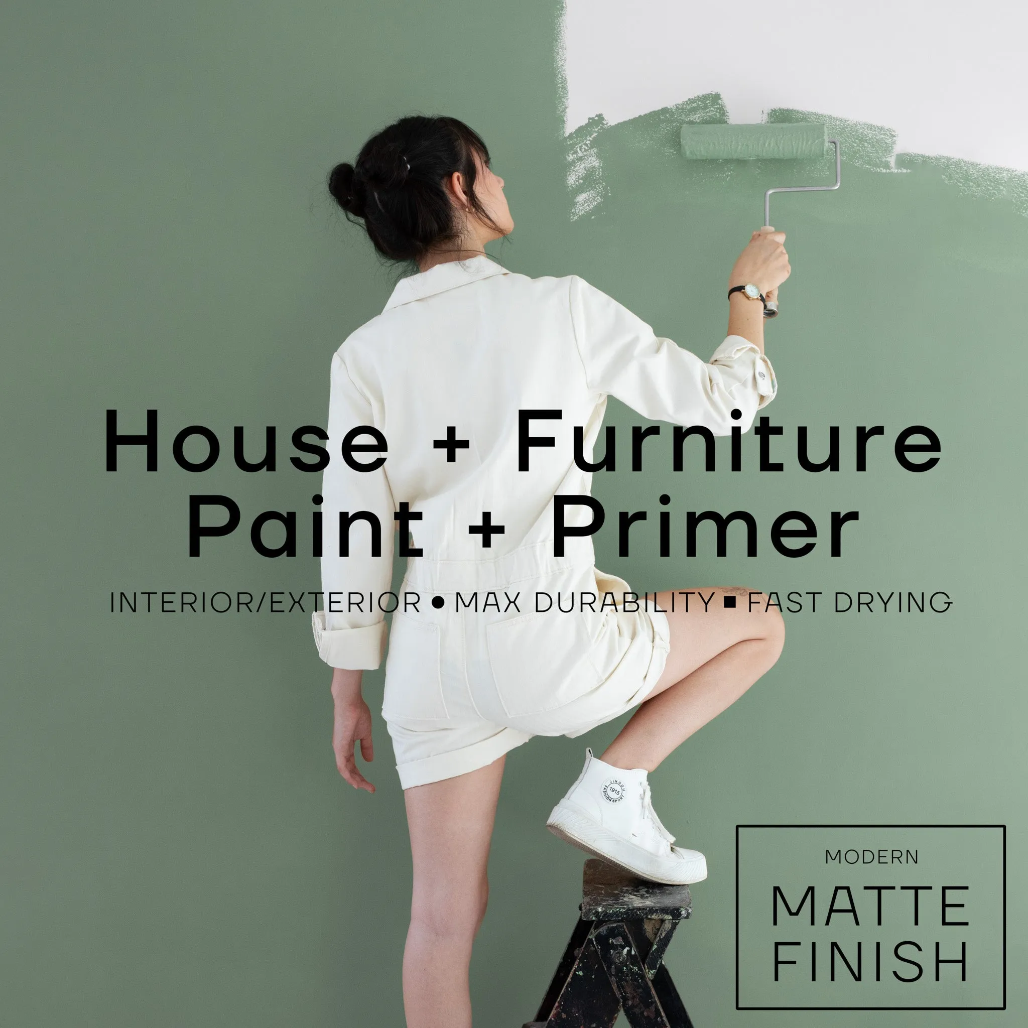 Interior   Exterior Premium House Paint