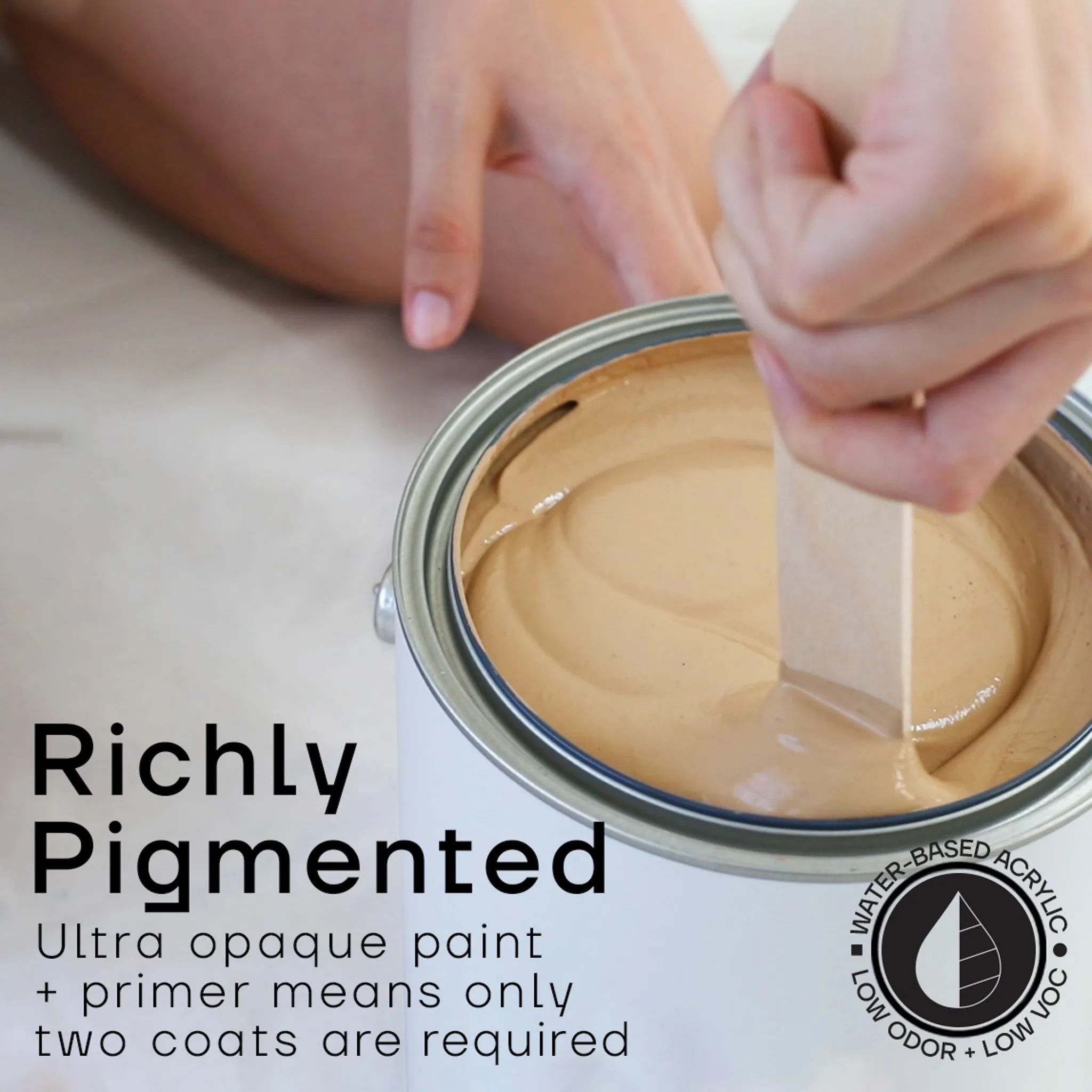 Interior   Exterior Premium House Paint