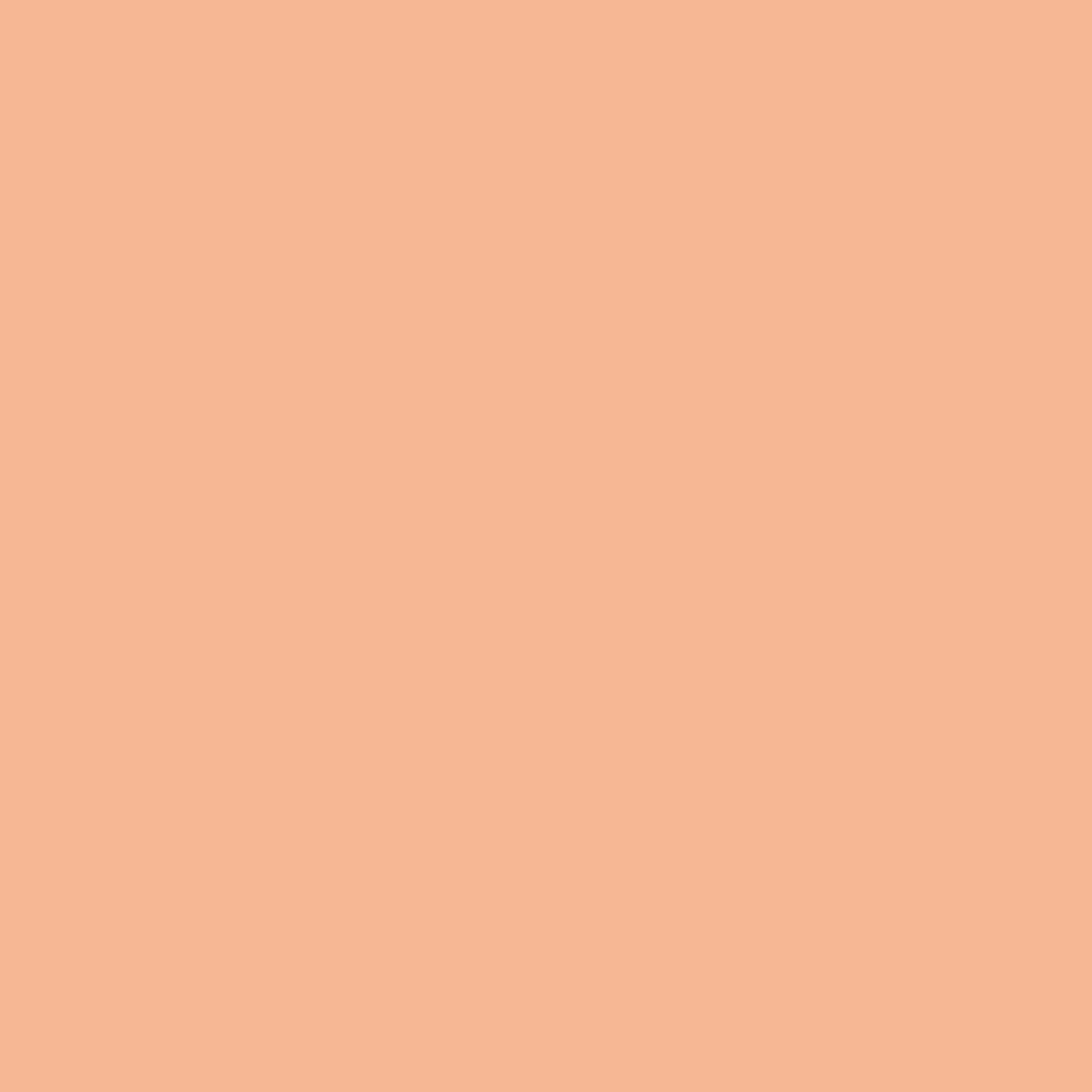 Interior   Exterior Premium House Paint
