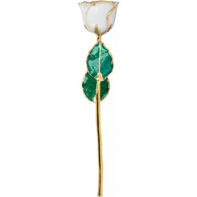 JDSP61-9087 - Lacquered Pearl Colored Rose with Gold Trim