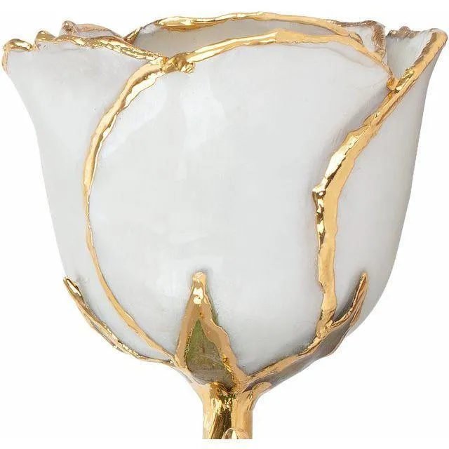 JDSP61-9087 - Lacquered Pearl Colored Rose with Gold Trim