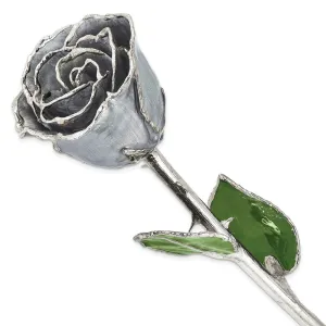 Lacquer Dipped Silver Trim Silver Moonstone Rose