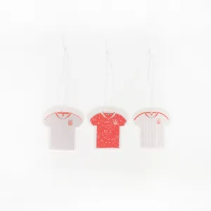 LFC 3 Pack Set Air Fresheners