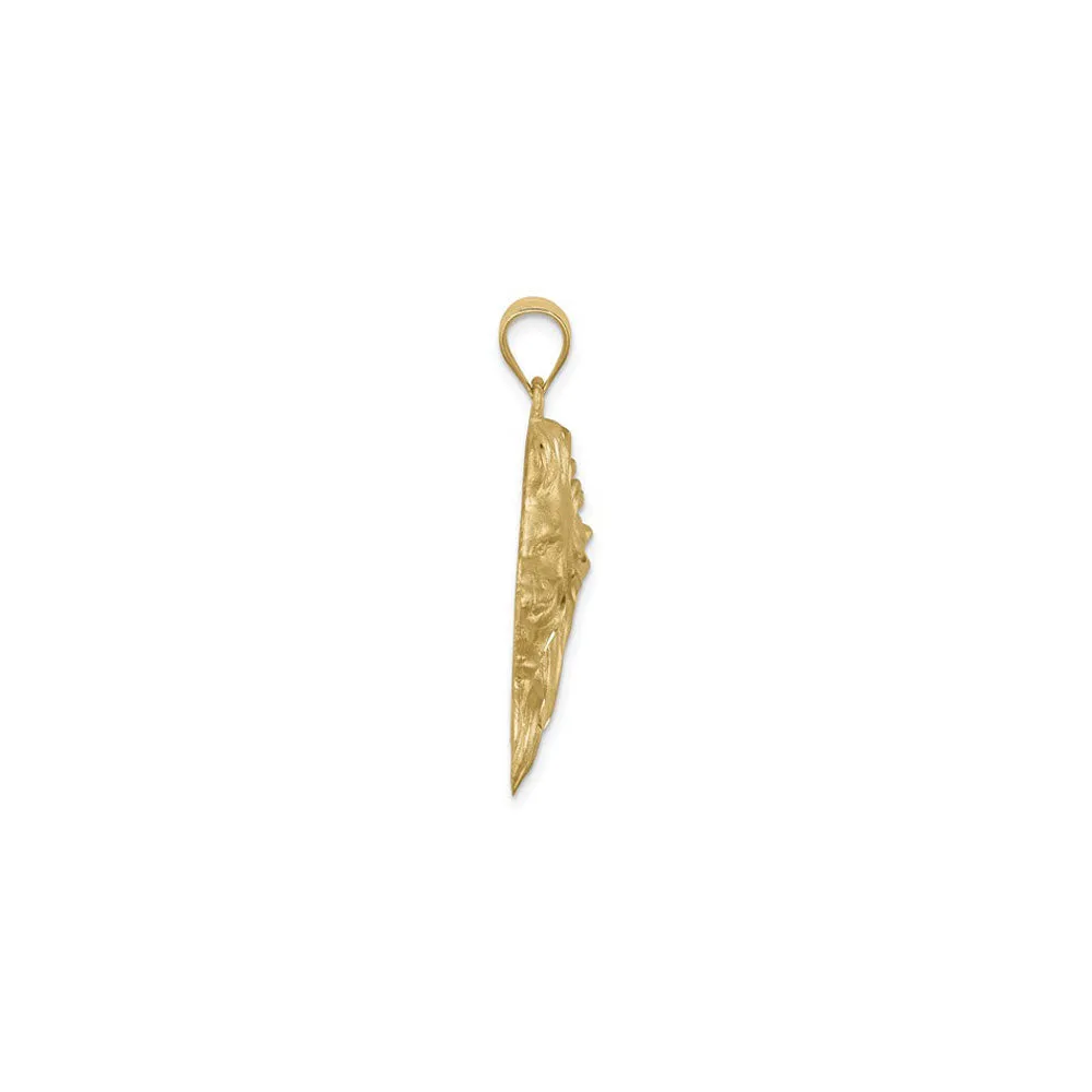 Lion Head Brushed Finish Pendant (14K)