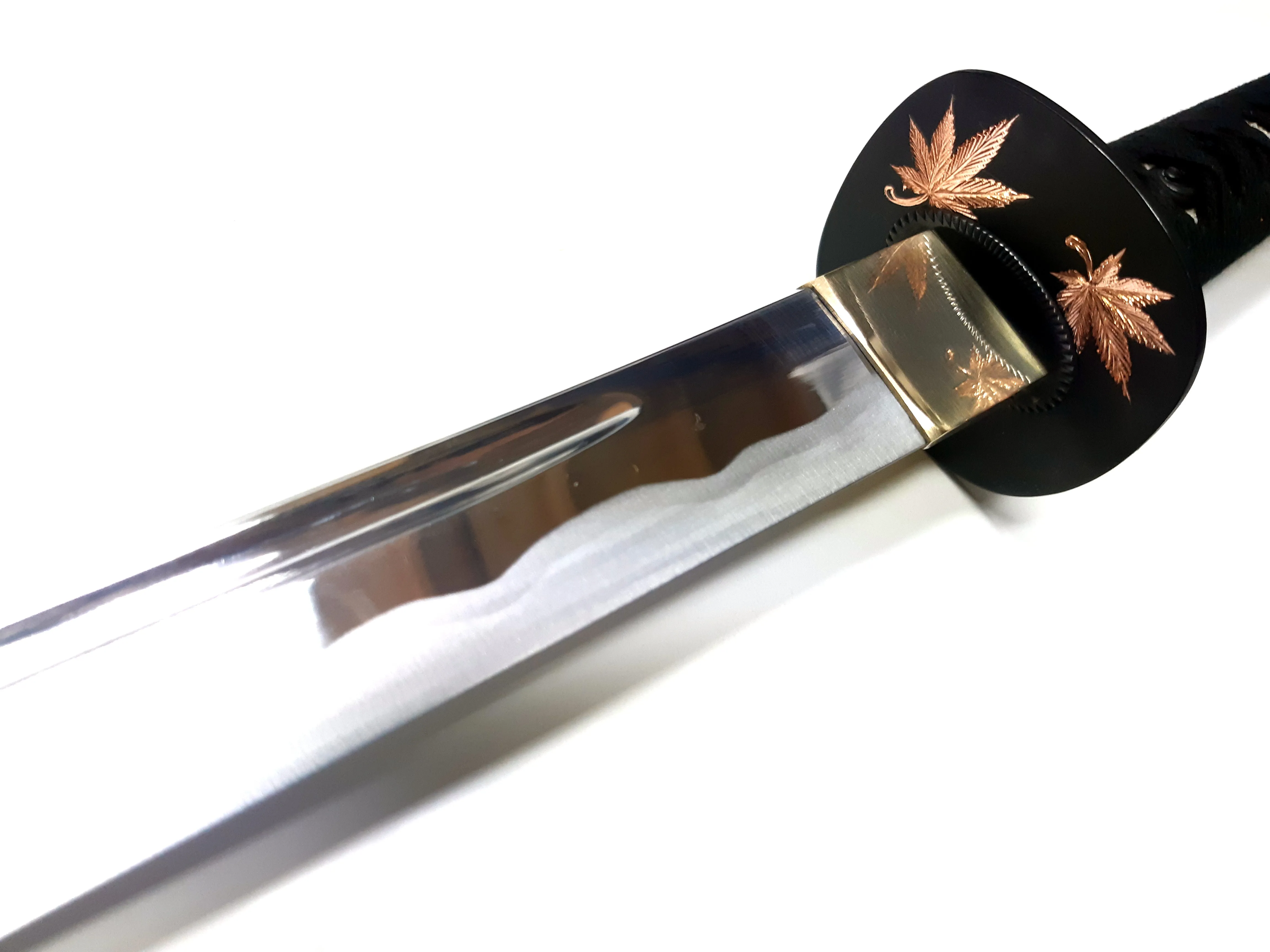 Maple L6-steel Kagum