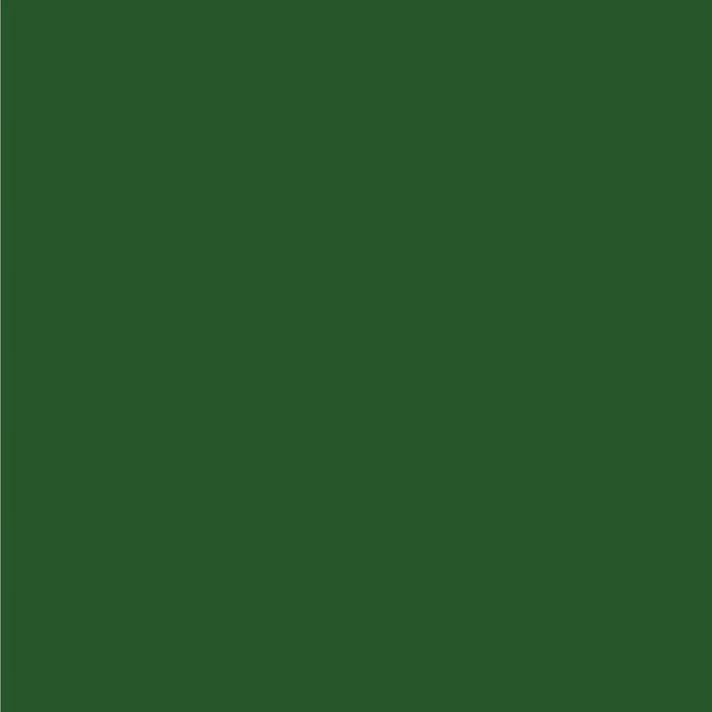 Matte/Gloss  Duo Sided - Jungle