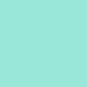 Matte/Gloss  Duo Sided - Spearmint