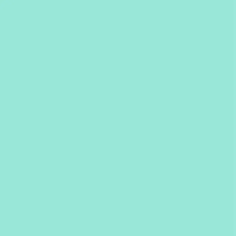 Matte/Gloss  Duo Sided - Spearmint