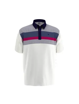 Mens Colorblock Polo