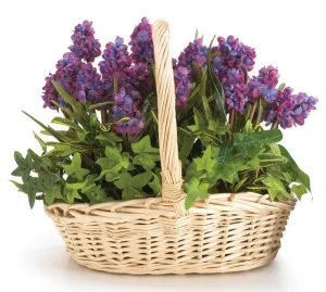 Natural Willow Oval Basket with Handle