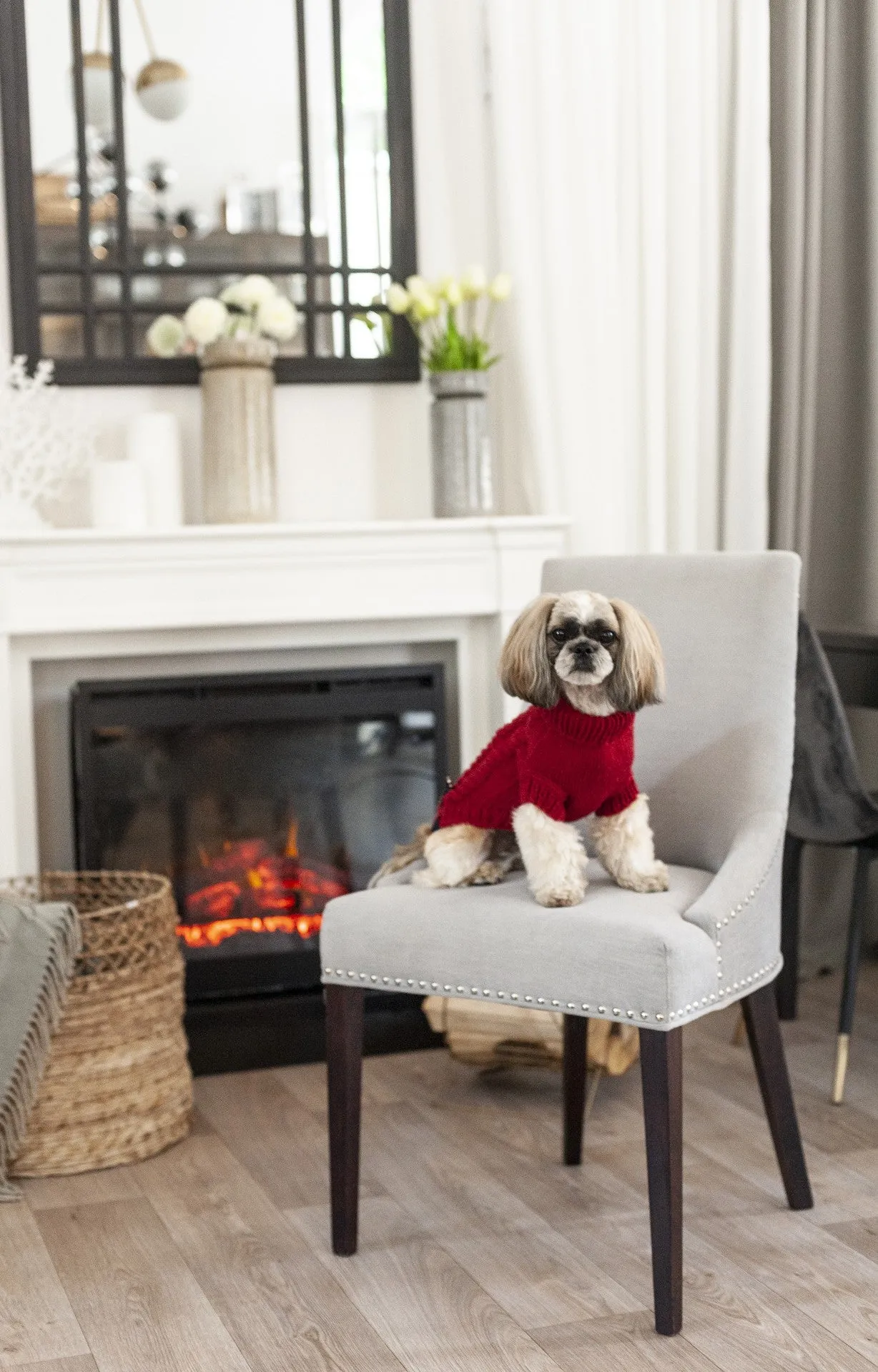 Oh Charlie Dog Sweater Love Red