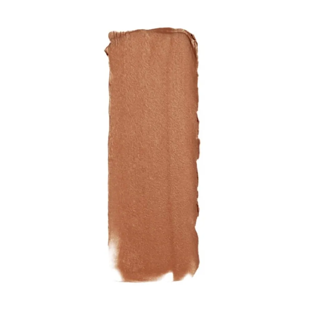 Pack of 2 L'Oreal Paris Infallible Pro Matte Liquid Lipstick, Sweet Tooth # 844