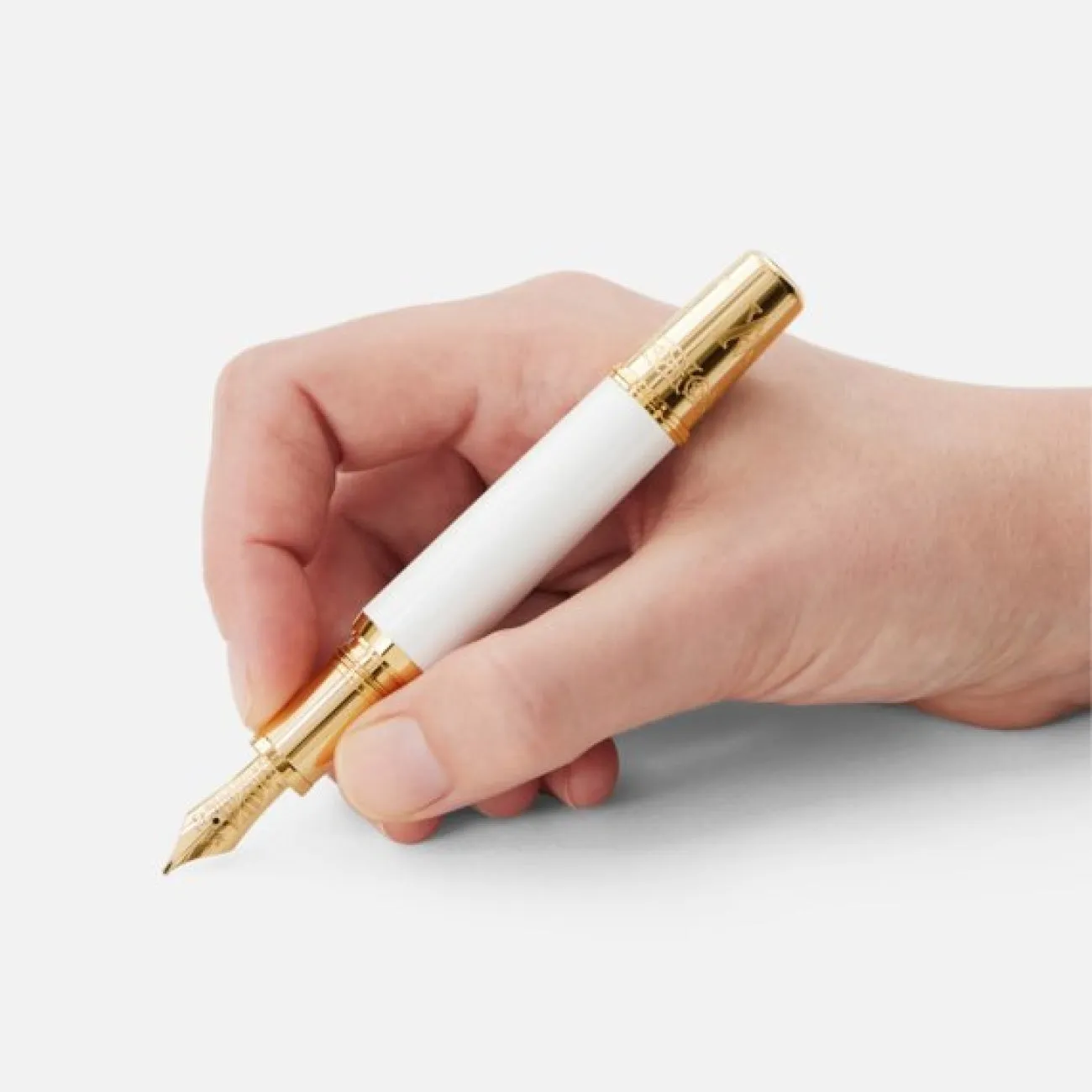 Patron Of Art Homage To Albert Limited Edition 4810 Fountain Pen m
