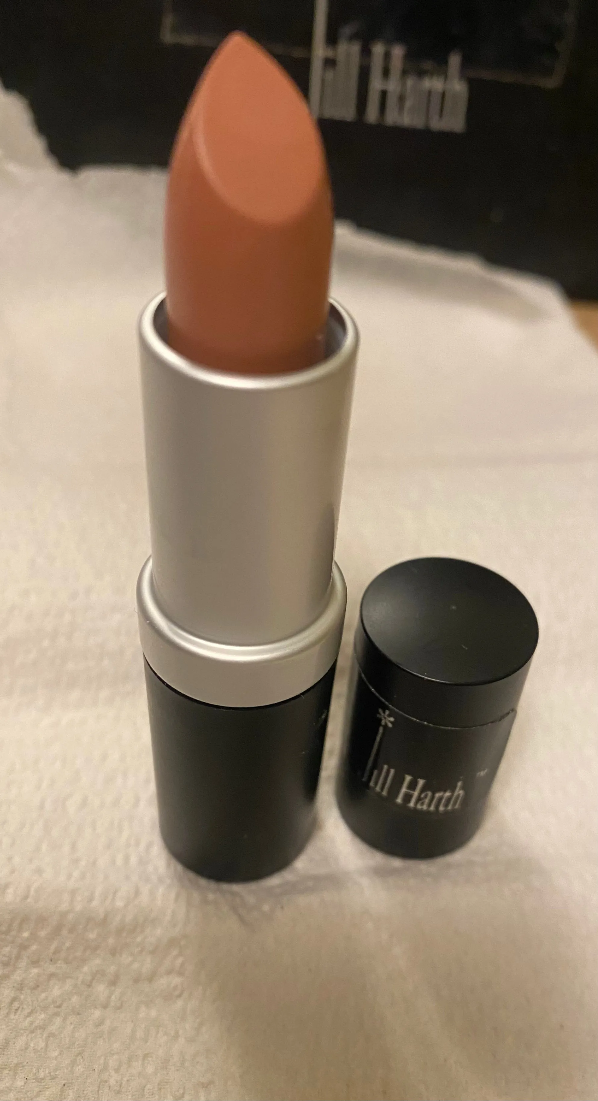 Pink Angel Matte Lipstick