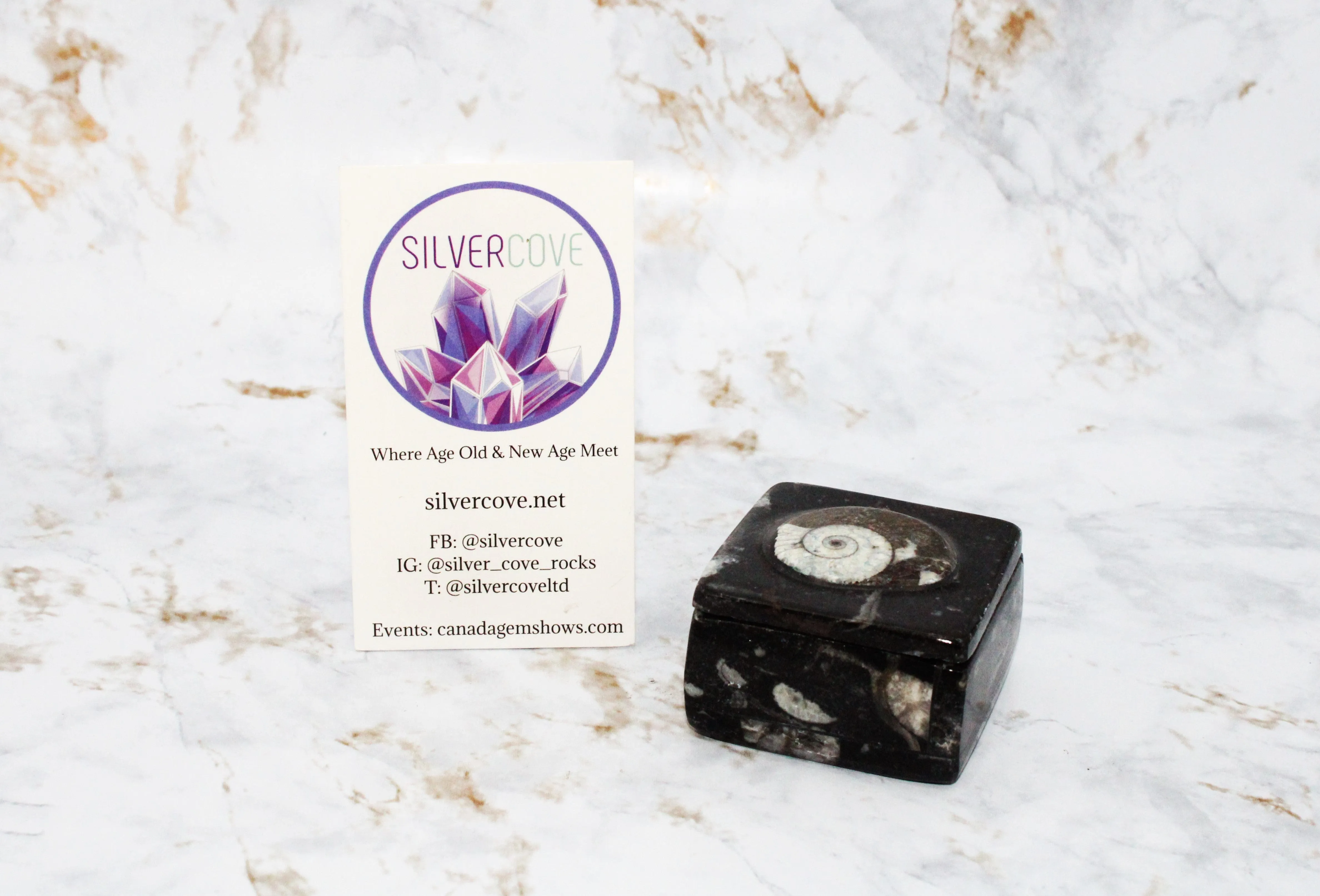 Polished Orthoceras Box